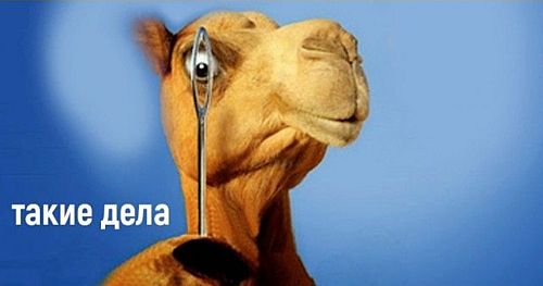 ������� � �������� ����