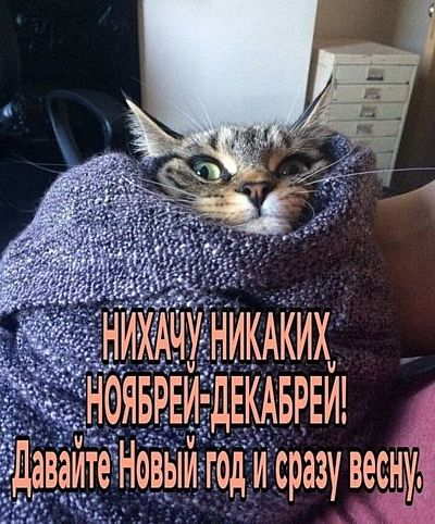 ����� ��� � �����