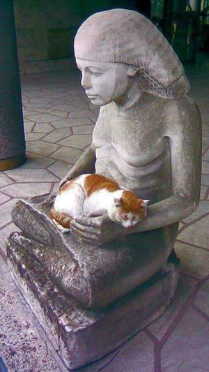 ���������������� ���������� � �����