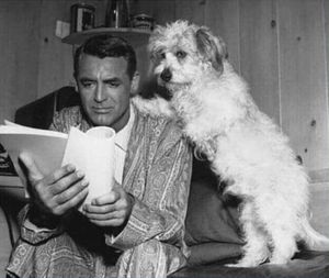 ������� �� ����