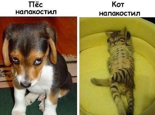 ��� � ���