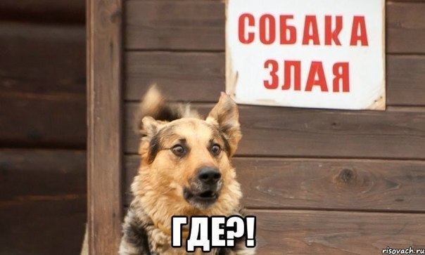 ���� ������